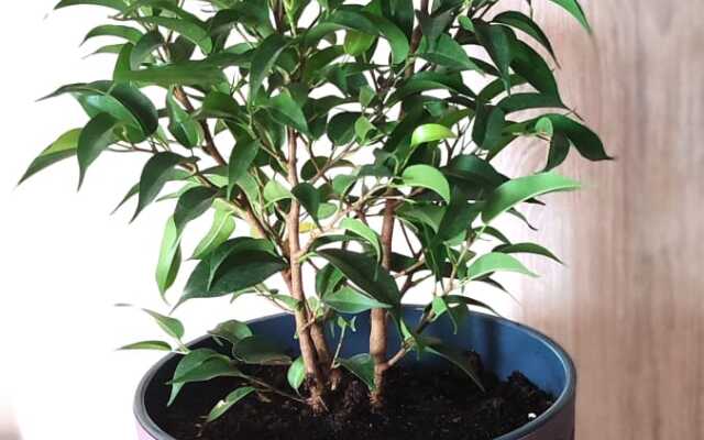 Квартира на Горпищенко