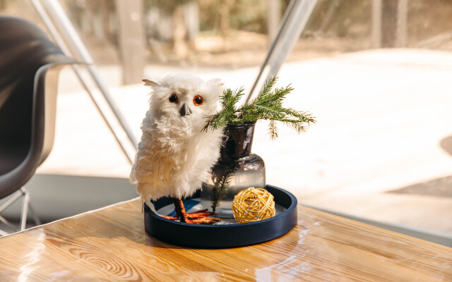 Шале Елки на горке 1