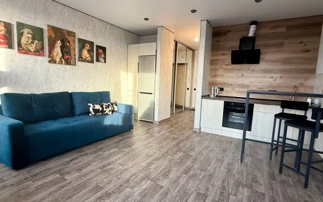 Апартаменты Уютная студия на ДОКе