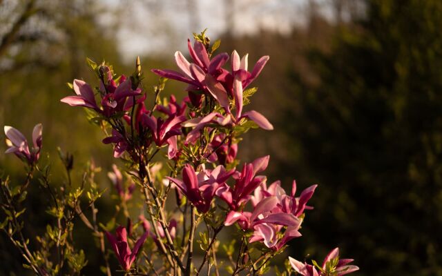 Вилла на берегу Тихого озера
