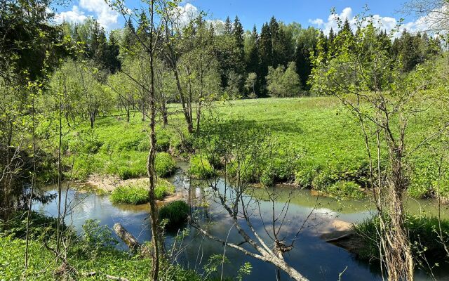 Zeleny Domik V Lesu Na Zhivopisnoy Ulitse Glamping