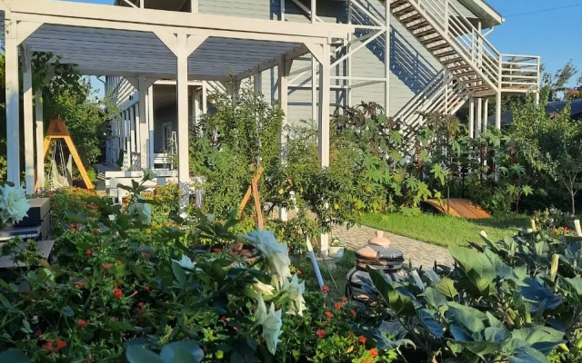 Belaya Dacha Guest house