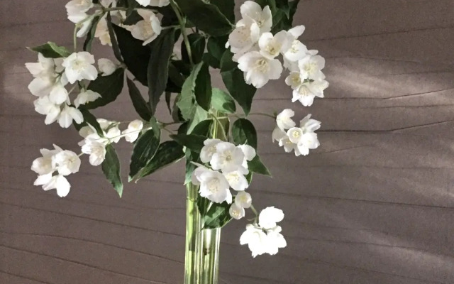 Квартира Светлая 2-Комнатная. Скандинавский Уют. 30 мин до Центра/Аэропорта. Метро и Быстрый Wi-Fi