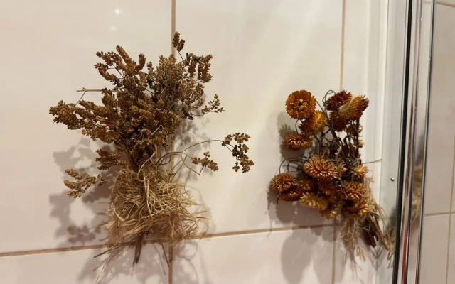 Дайкири — апартаменты с панорамными окнами и видом на озеро Тихое