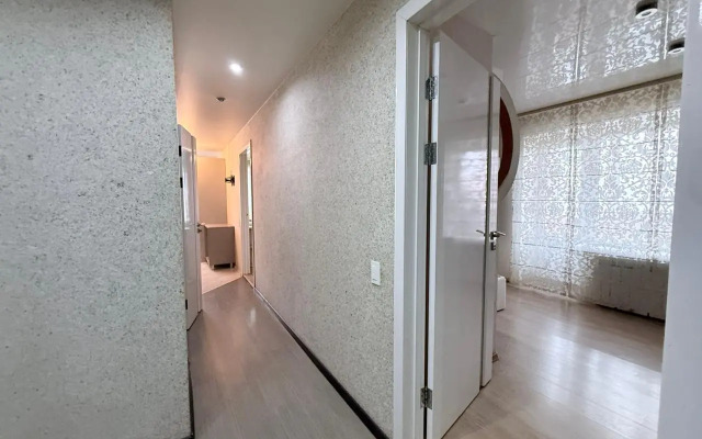 Двухкомнатные Апартаменты Sutki VIP на Кулакова 3