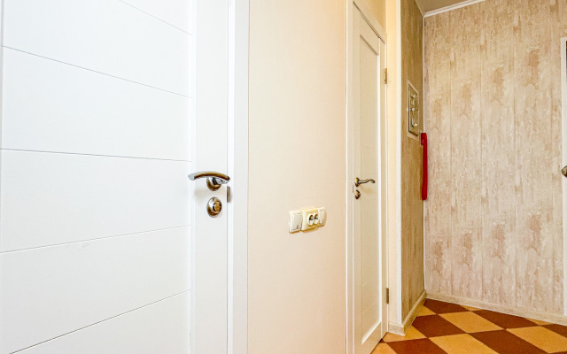 Odnokomnatnye na Guryanova 2/3 Apartments