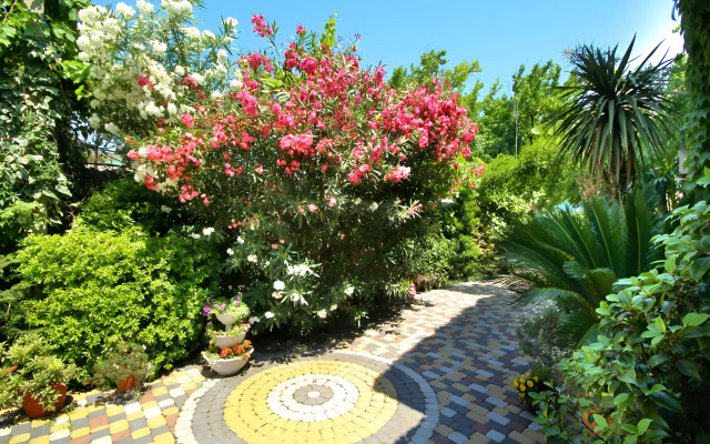 Milana Guest house