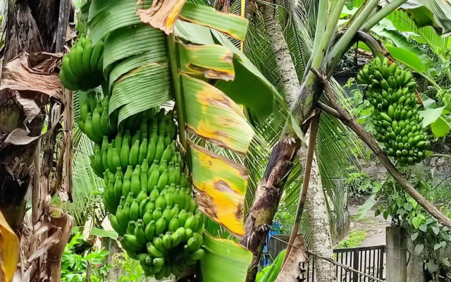 Villa 51 - Ground Floor Villa