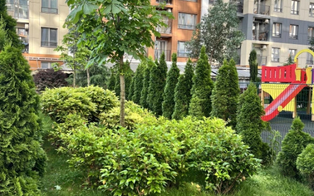 Апартаменты Каравелла Португалии