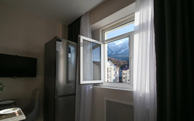 Flat Krasnaya Polyana