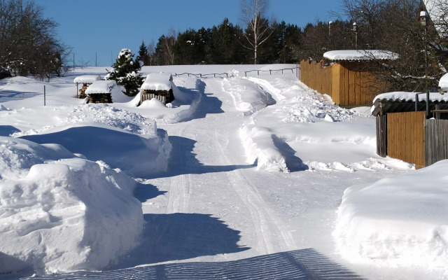 Частный дом в деревне