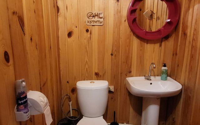 Altaj Voyazh Guest House