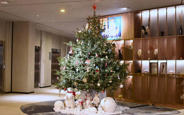 Отель Комплекс Апартаментов Domina Пулково Апартаменты