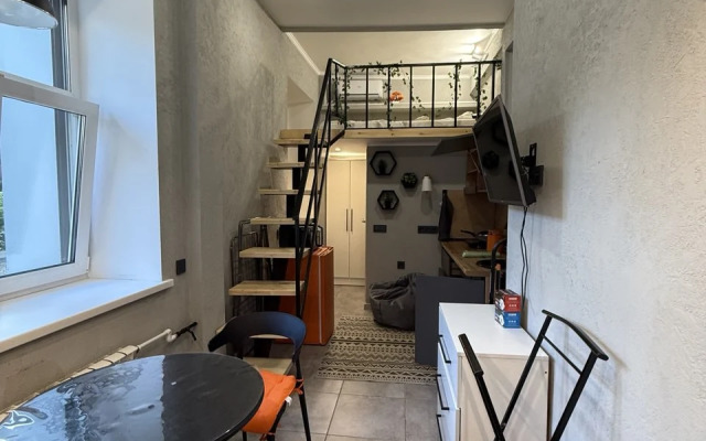 Uyutnaya Studiya Na Dvoikh Apartments