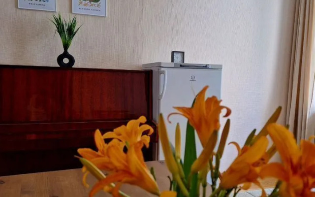 Апартаменты Двухкомнатные в Пocелке Южный