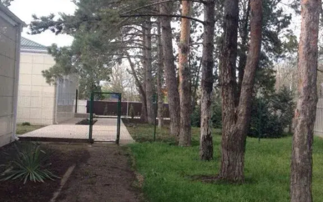 Ночлег и завтрак Гостиница Надежда