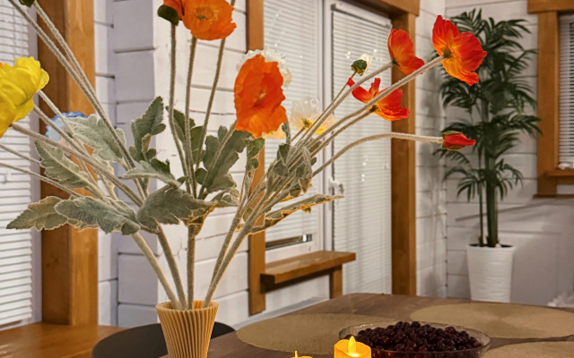 Частный дом Белый и сосны