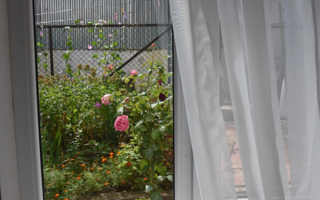 Апартаменты эконом Прованс