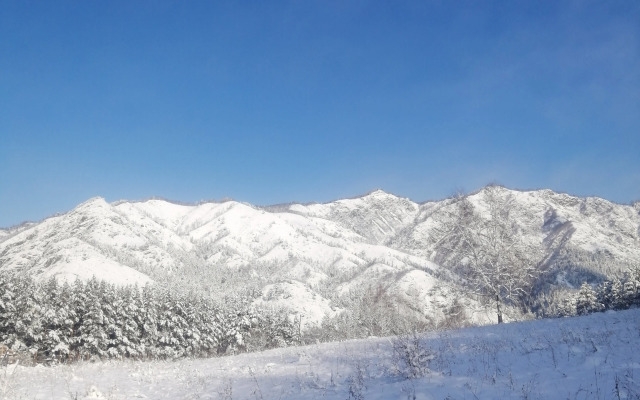Гостевой дом Усадьба Чикмарёвых