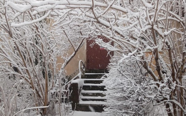 Апартаменты Каштаны Амалиенау