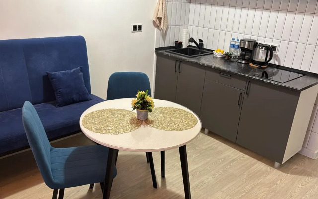 Studiya Na Oktyabryskoy 16 Flat