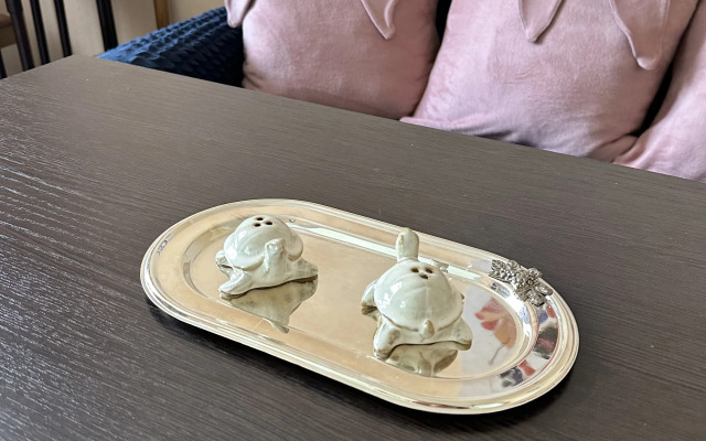 Kostin Dom Flat