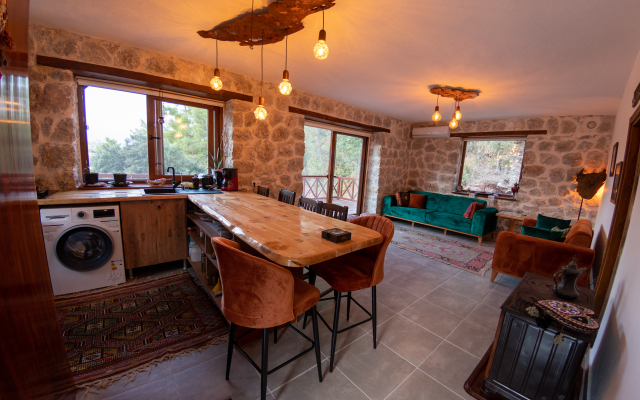 Olympos Stone House Private house