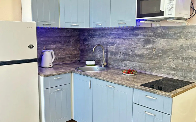 Квартира Просторы Невы