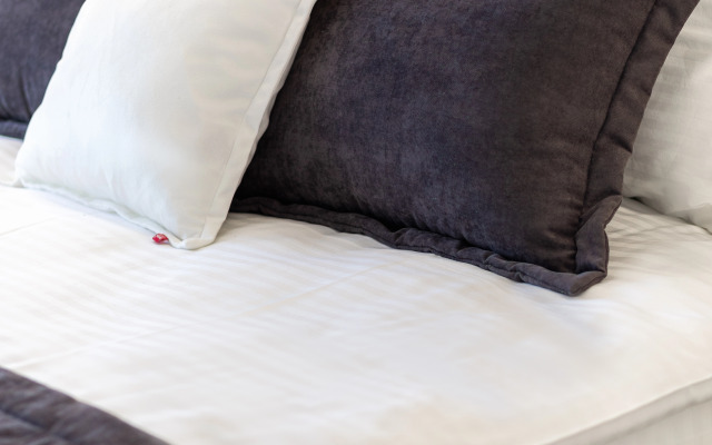 Апартаменты Apart39 Лазурный берег в Зеленоградске