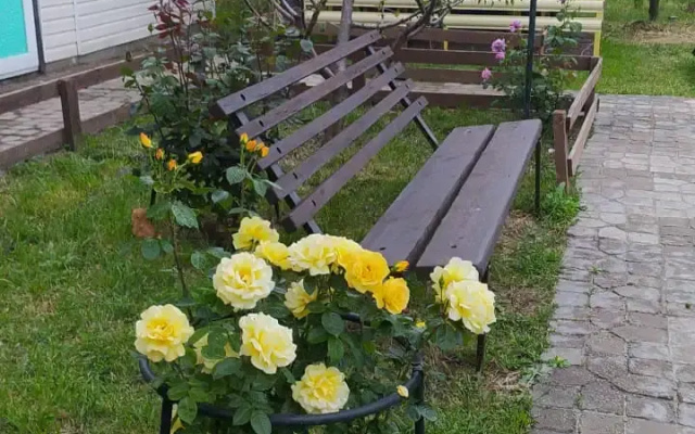 Звезда Азова