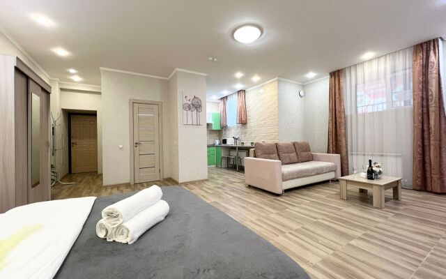 Апартаменты Светлая Студия на Пролетарской 53