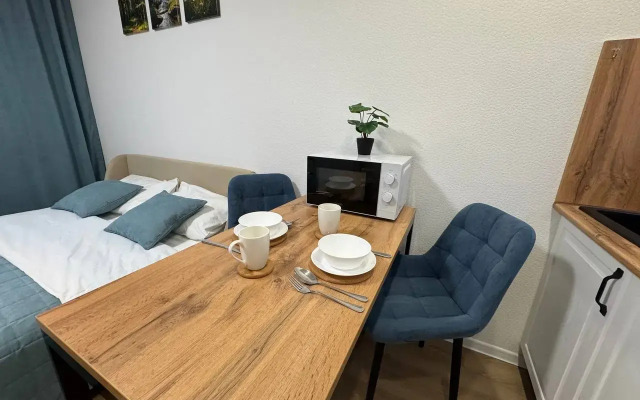 Studiya V Moskve Flat