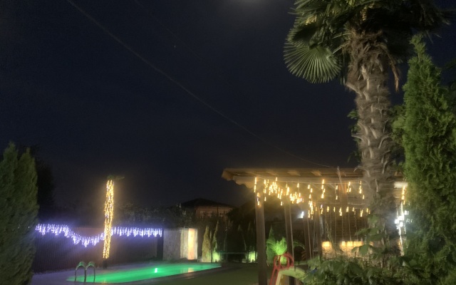 7 Palm Apartments