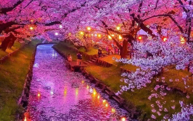 Апартаменты Cyber Tokyo Sinjyuku