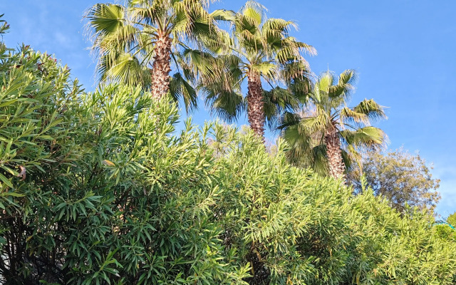 Uyutnaya Ryadom S Morem I Dikim Plyazhem Flat