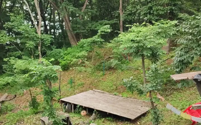 Guest small house Glamping