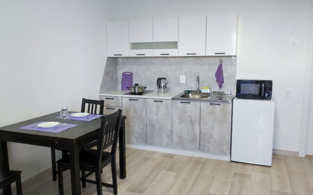 Studiya U Ledovoy Areny Traktor Flat