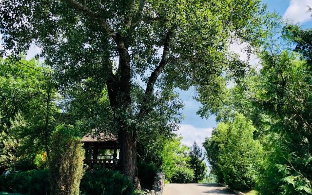 База Отдыха Лукоморье