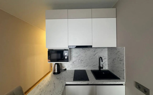 Putilov Avenir Apart-hotel