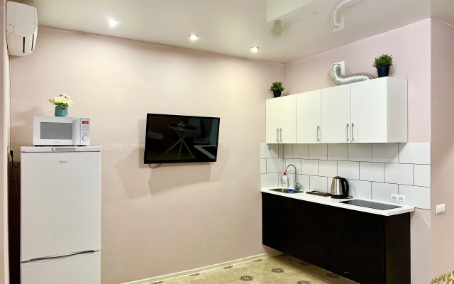 Квартира Студия Большая в Центре Фмр