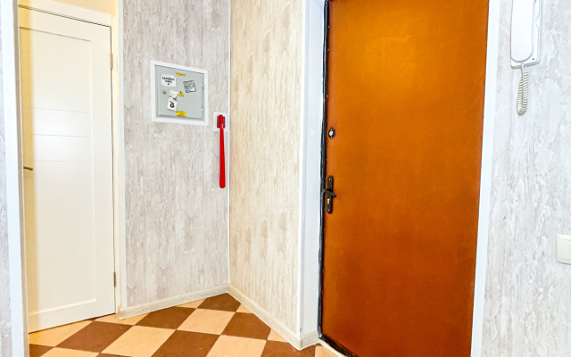 Odnokomnatnye na Guryanova 2/3 Apartments