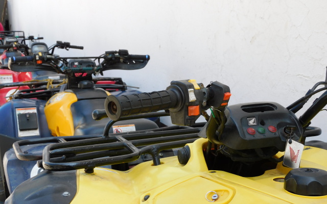 Отель Casa de Huespedes Nayomi By Rotamundos