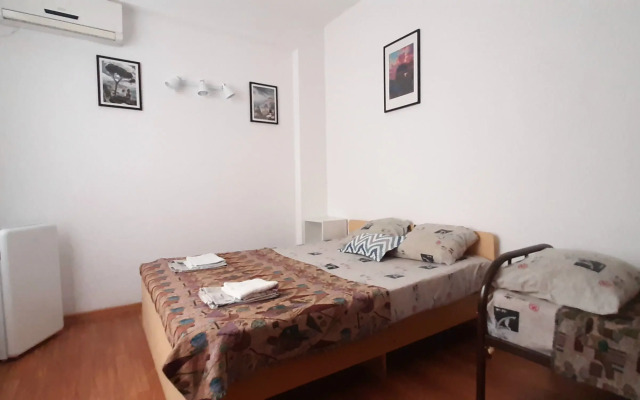 Na Turgeneva Guest House