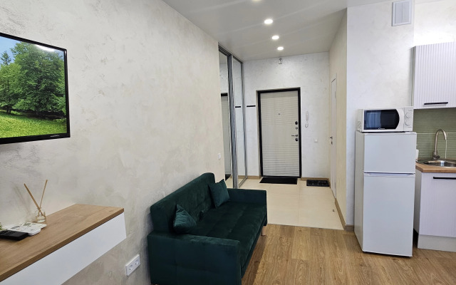 Квартира Зелёная студия