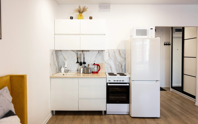 Uyutnaya Studiya Flat