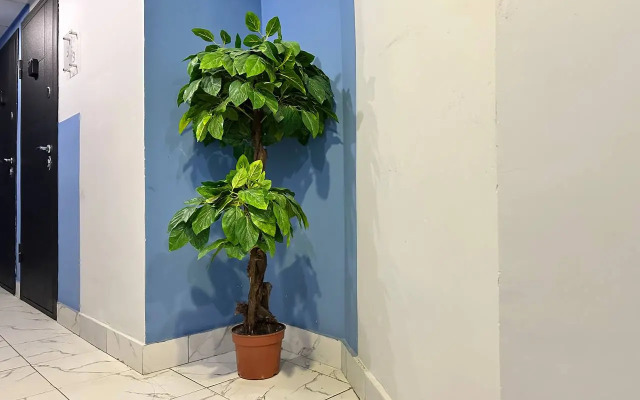 Апартаменты Уютная мини студия