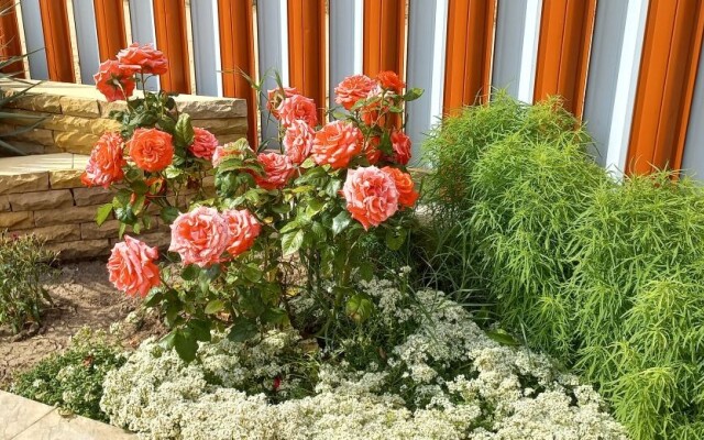 Гостевой дом Ника