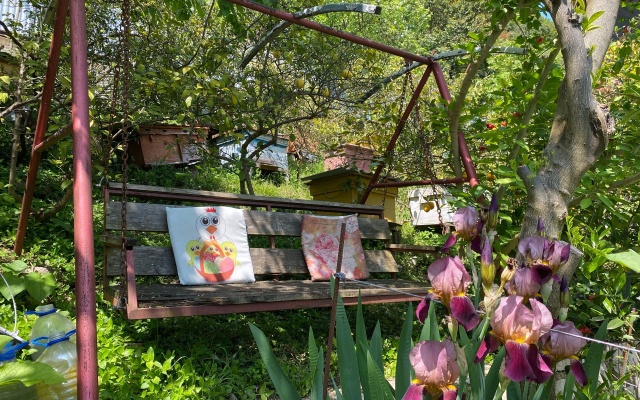 El Platano Guest House
