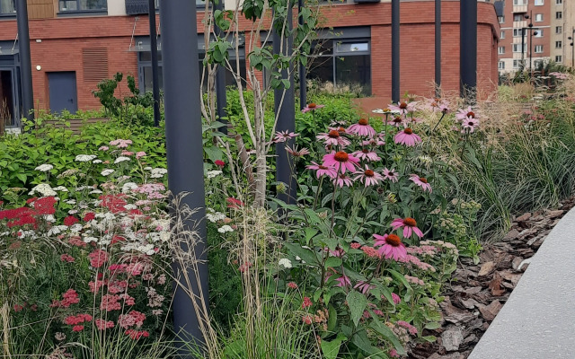 Апартаменты Онежская 4 you 2