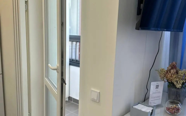 Studiya V Zhzh Prokshino Flat